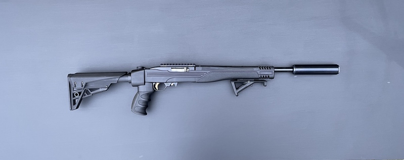 Ruger 10/22 Semi-Auto .22  Rifles