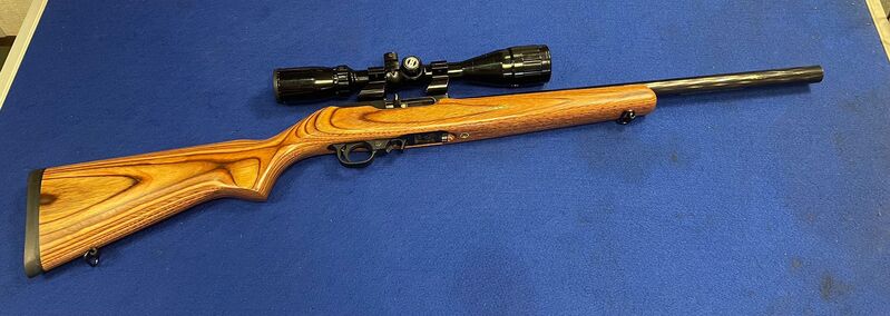 Ruger 1022 Semi-Auto .22 LR Rifles