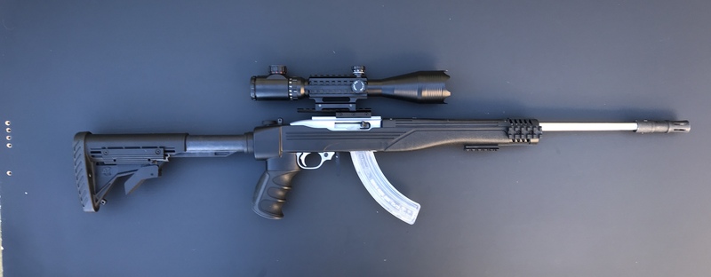 Ruger 10/22 Semi-Auto .22  Rifles